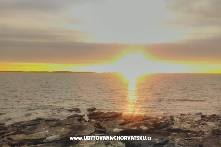 Luka – foto 5