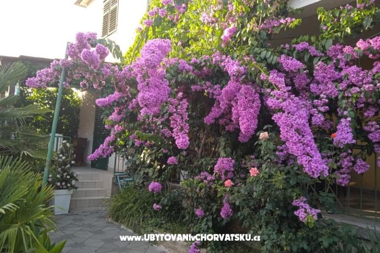 Apartmani Majica – foto 6