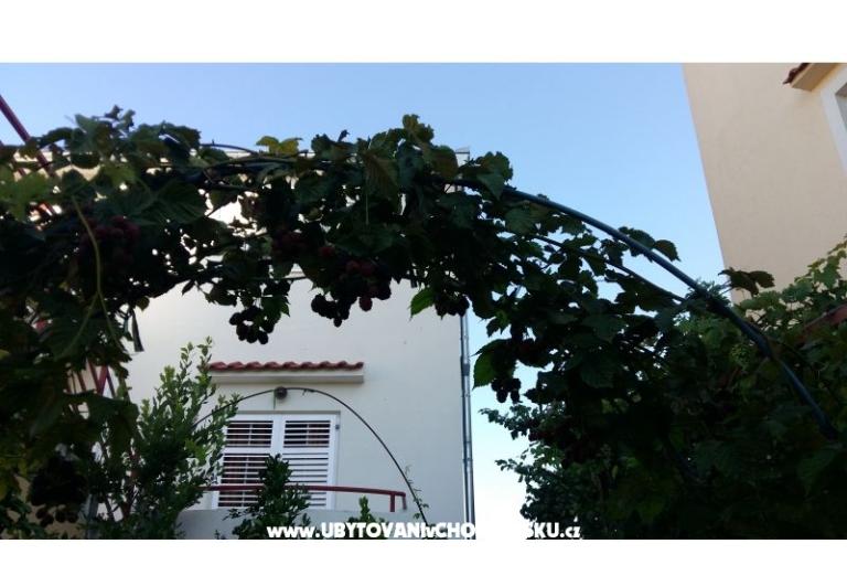 Apartmani Matej – foto 14