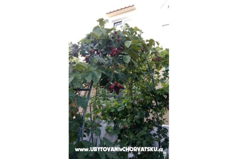 Apartmani Matej – foto 5