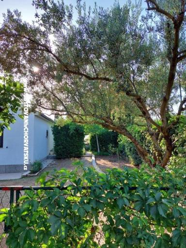 Kuća za odmor - Apartman Milka – foto 13