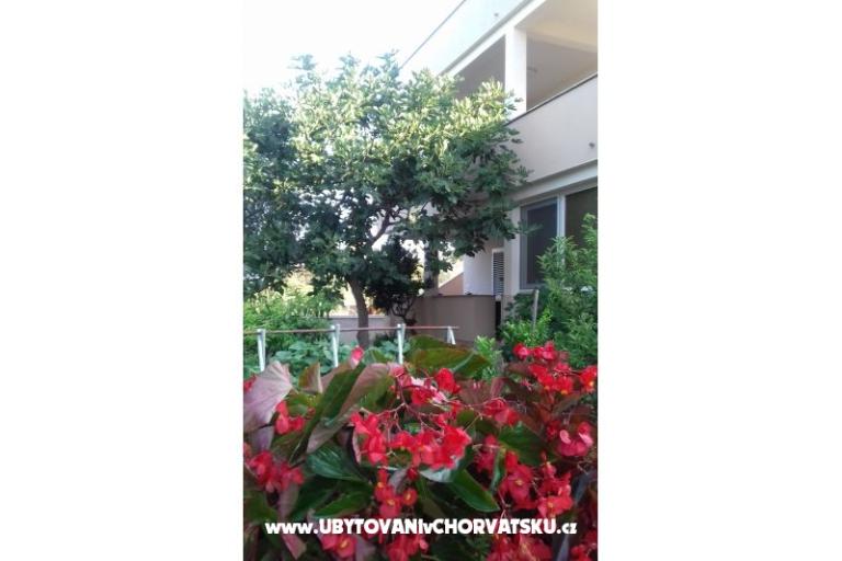 Apartman   " ARZENŠEK " – foto 12