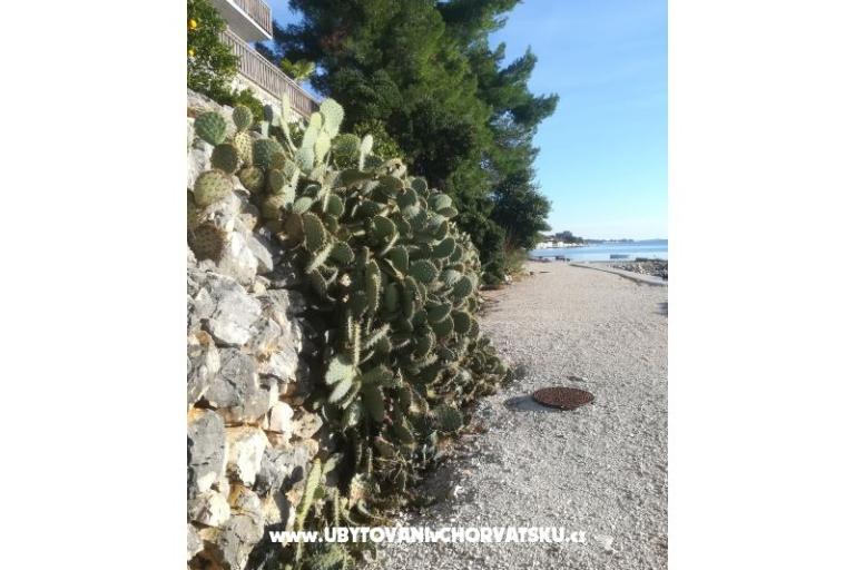Apartmani Colić – foto 18