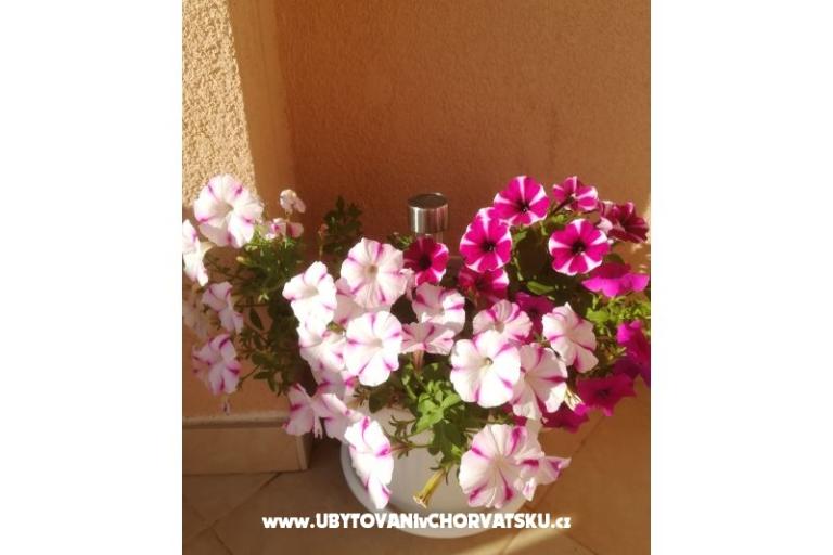 Apartmani Colić – foto 9