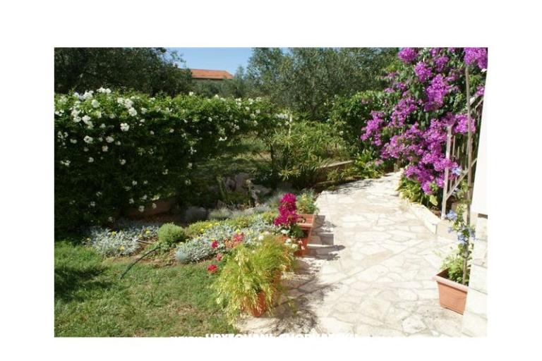 Apartmani Vodopija 50eur/2 os – foto 6
