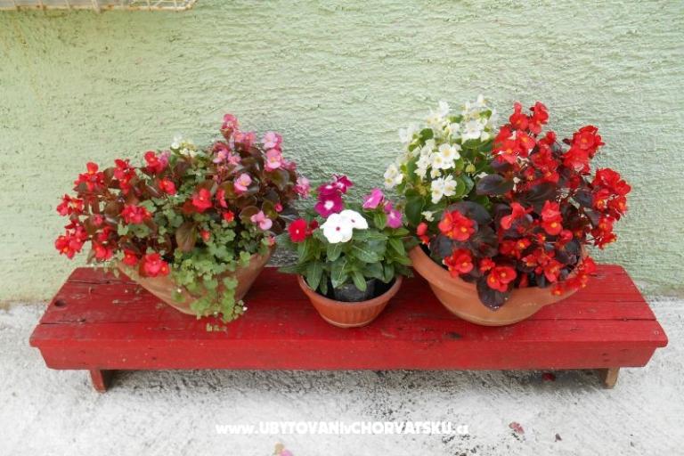 Apartmani Mirjana – foto 12