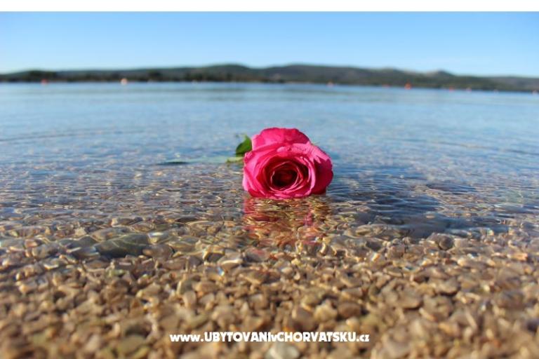 Beach Kuća Amarella – foto 14