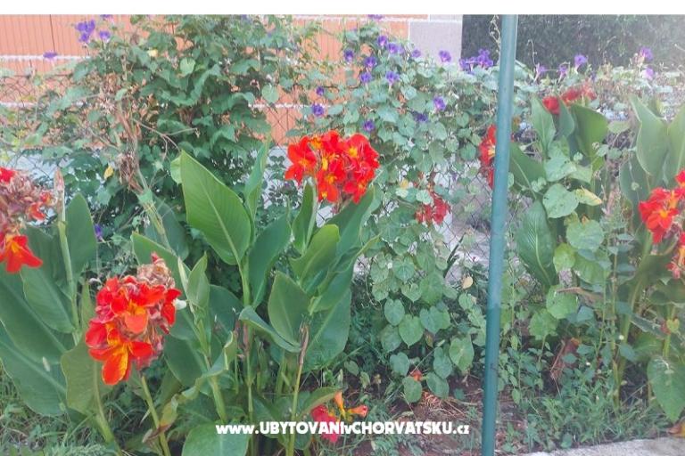 Apartmani Misulic Turanj – foto 16