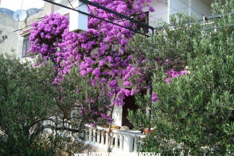 Apartman Gradac Falak – foto 13