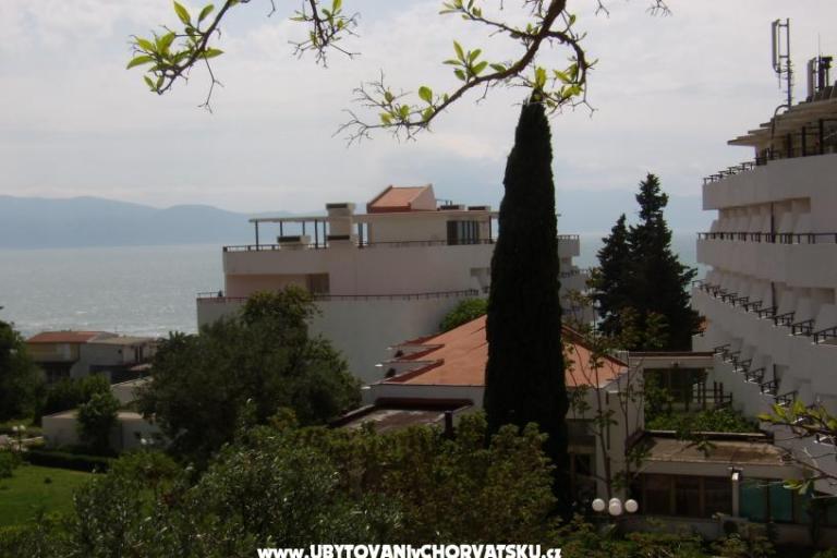Apartman Gradac Falak – foto 2