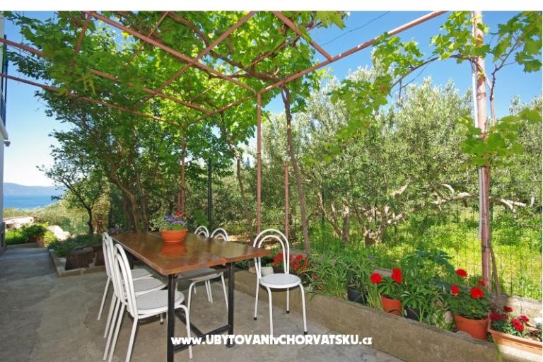 Apartmani i sobe Maslina – foto 16