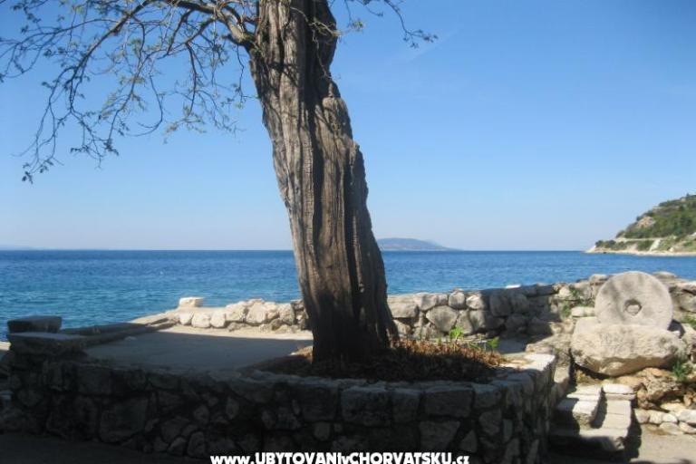 Apartman Ines – foto 9