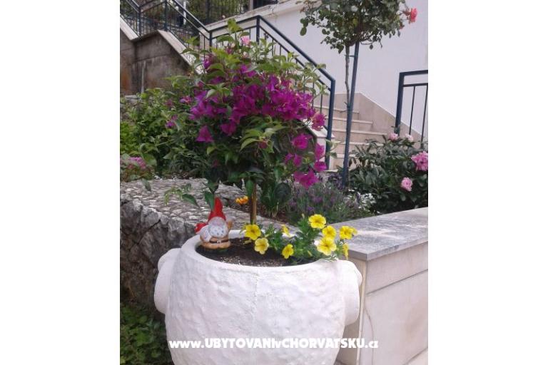 Apartmani Ivana  – foto 26