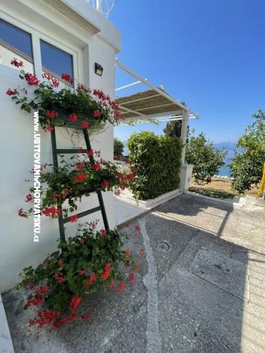 Apartmani Mimoza – foto 14