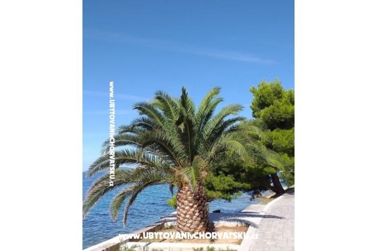 Apartmani NIKOLA – foto 7