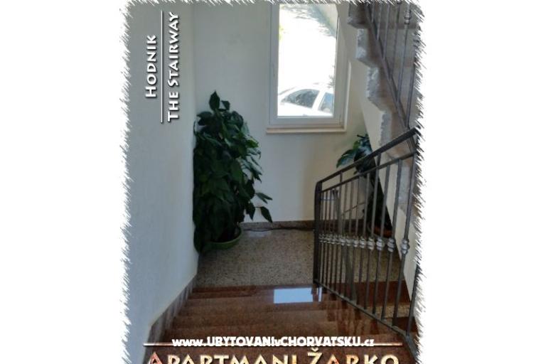 Apartmani Žarko – foto 15