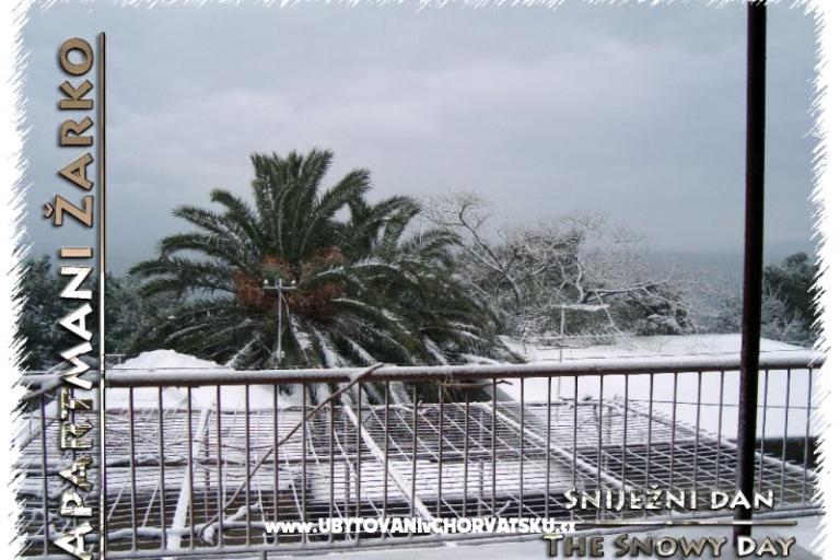 Apartmani Žarko – foto 17