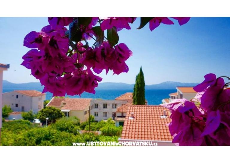 Apartmani Jerković Gradac – foto 7