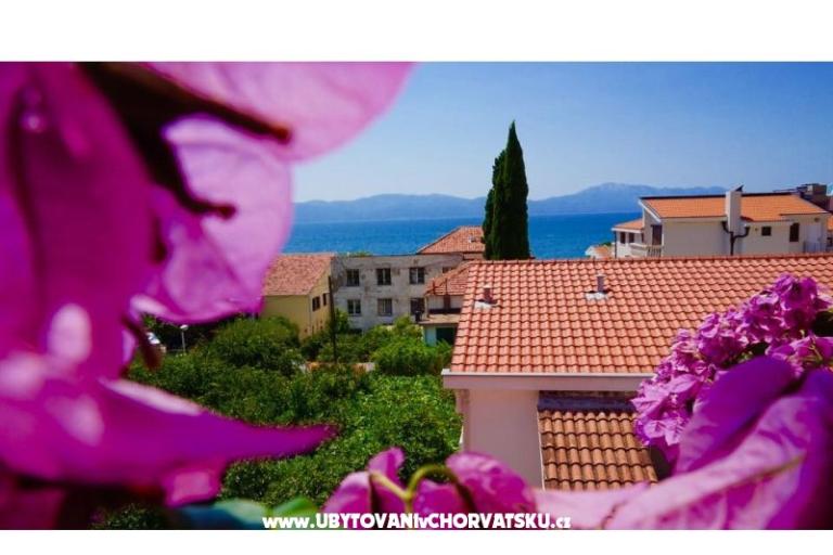 Apartmani Jerković Gradac – foto 8