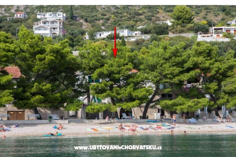 Apartmani Kosovic II – foto 11