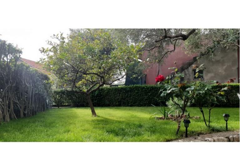 Apartman Toth – foto 9