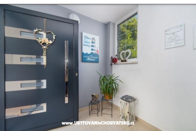 Color Apartmani Miošić – foto 8