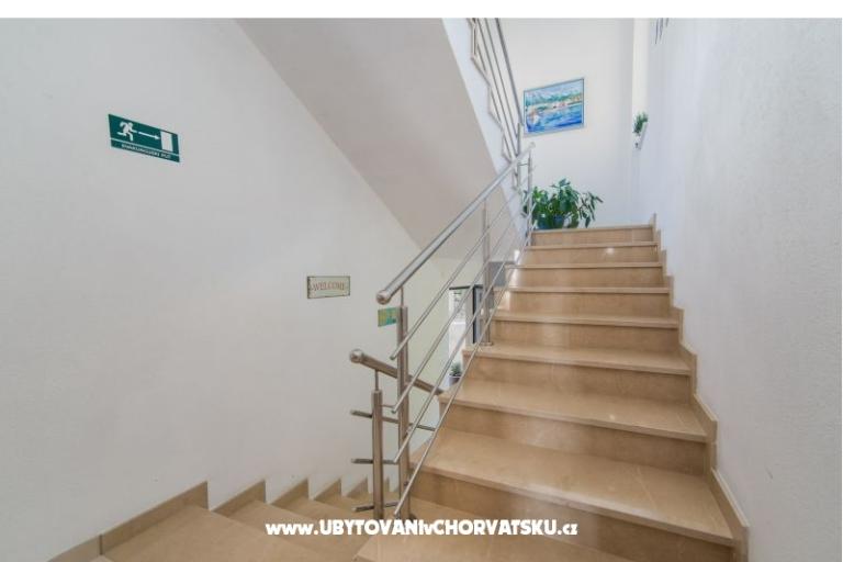 Color Apartmani Miošić – foto 9