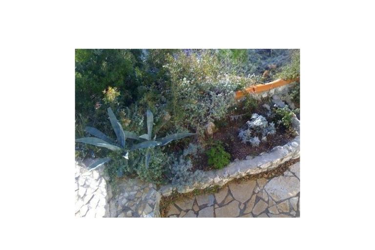 Dijana Beach Kuća – foto 15