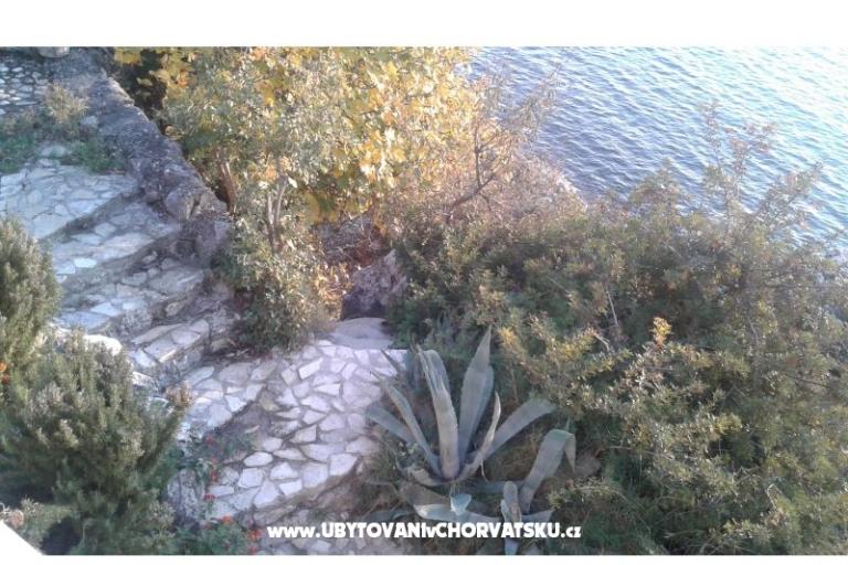 Dijana Beach Kuća – foto 7