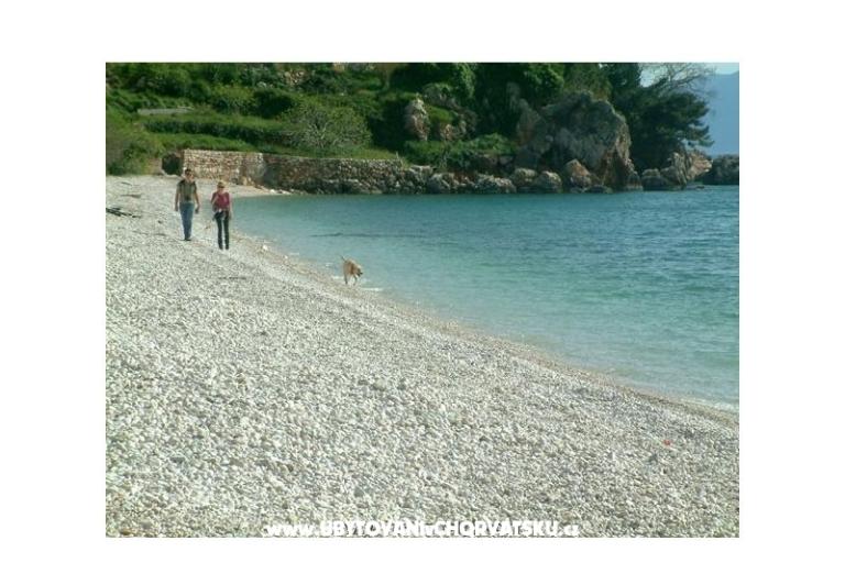 Apartmani Gradina – foto 11