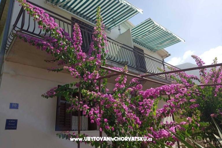 Kuća Miošić Apartmani  – foto 4