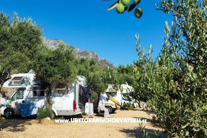 Mini Kamp Podaca – foto 5