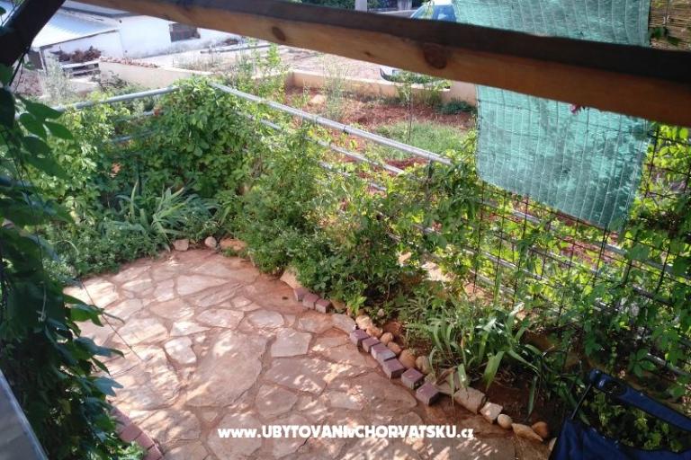 Apartman Paiz – foto 10