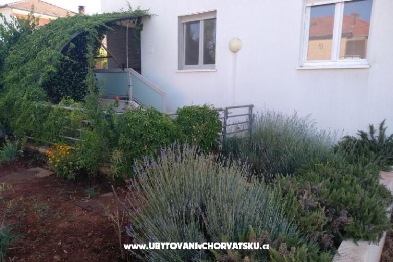 Apartman Paiz – foto 2