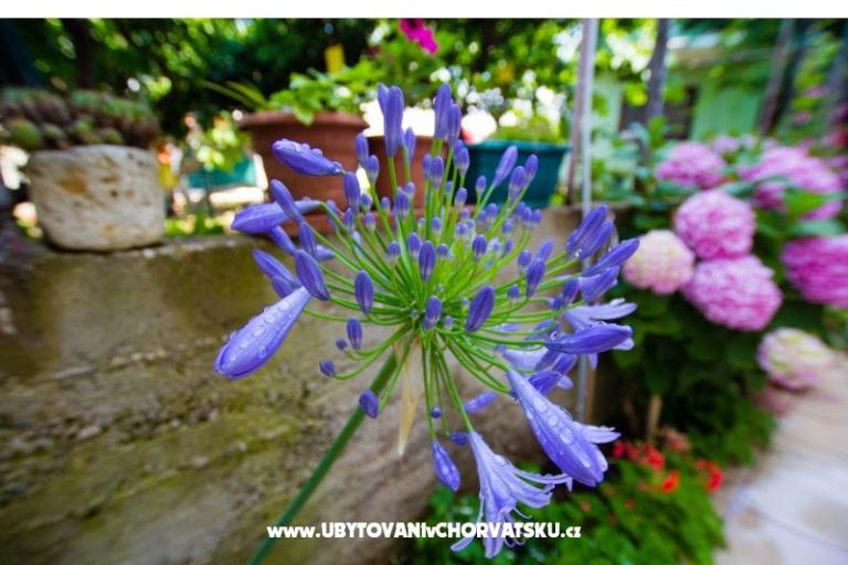 Apartmani Bartul – foto 16