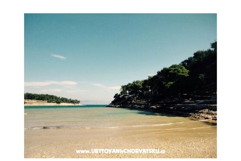 Apartmani Belić  – foto 16