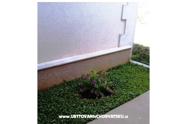 Apartmani Belić Nikola – foto 17