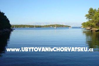 Apartmani Brkan – foto 13