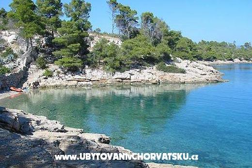 Apartmani Brkan – foto 15
