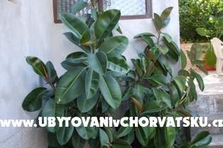 Apartmani Račić – foto 7