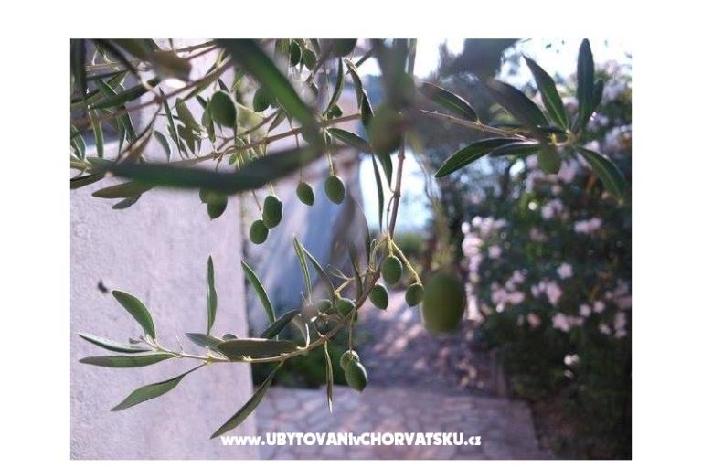 Apartmani Stipišić – foto 6