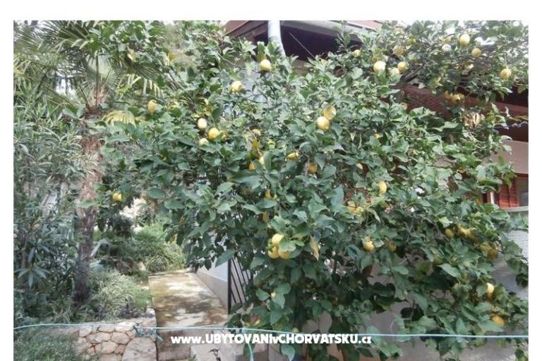 Apartmani Bogović – foto 20