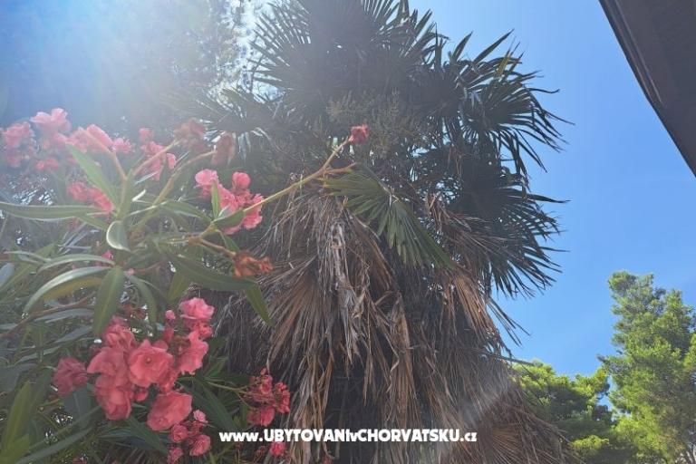 Apartmani Bogović – foto 28