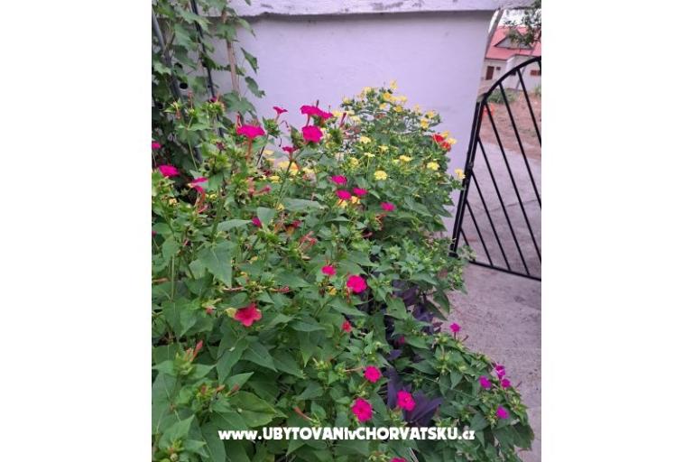 Apartmani Bogović – foto 42