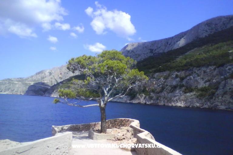 Apartmani Arpina  – foto 20