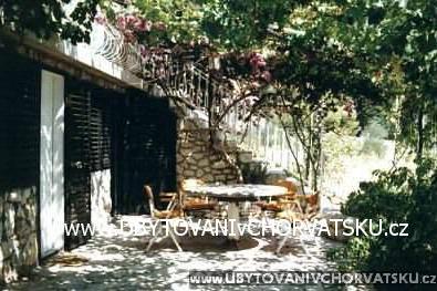 Apartmani Bougainvillea – foto 2