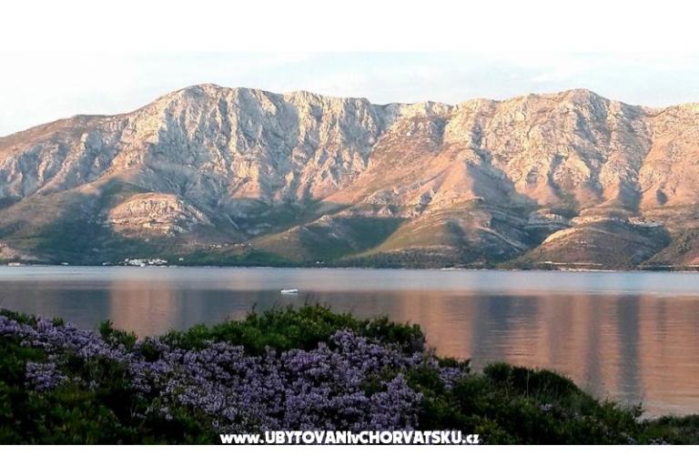 Apartmani Raueiser – foto 15