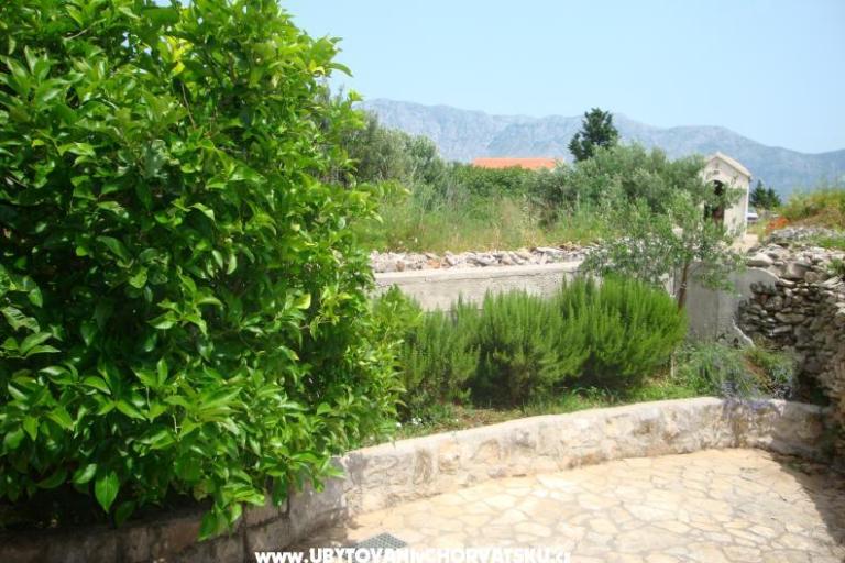 Kuća Jadranka – foto 14