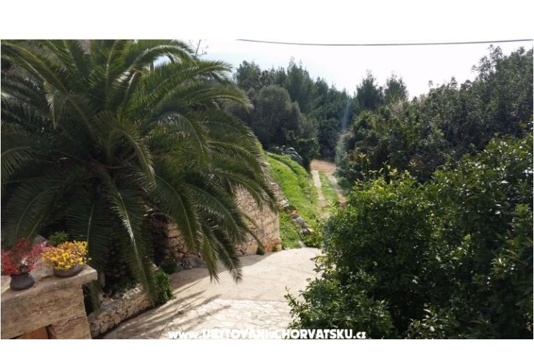 Kuća za odmor Rubinić – foto 4