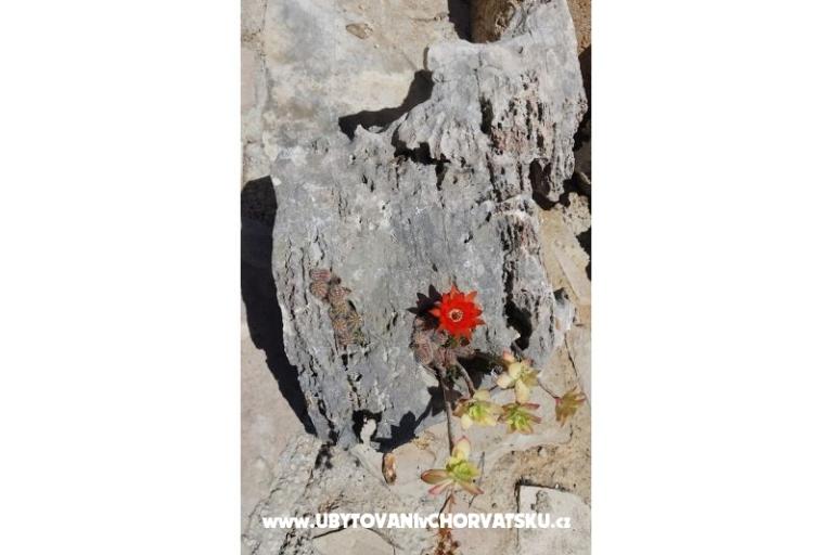 Kuća za odmor Rubinić – foto 7